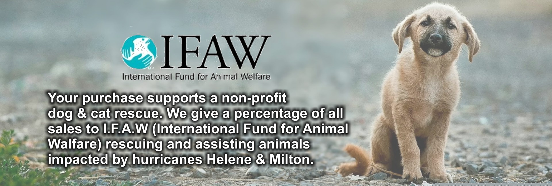 IFAW
